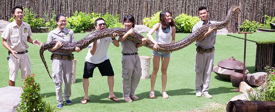 chup-anh-cung-dong-vat-khu-vuon-thu-safari