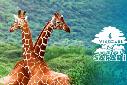VinPearl-Safari-Phu-Quoc