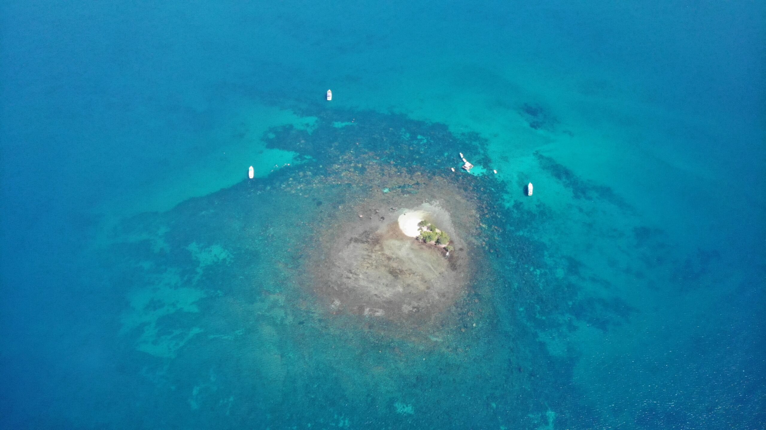 FESTIVE-giam-sau-len-toi-30%-18